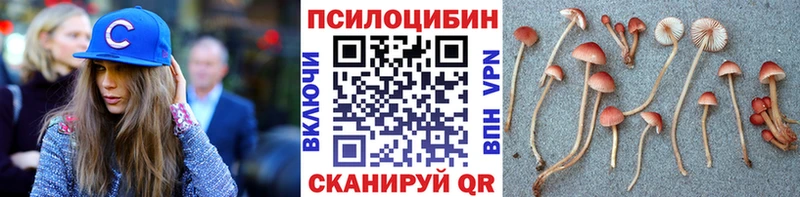 Галлюциногенные грибы Psilocybine cubensis  где можно купить наркотик  Орлов 